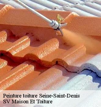 Peinture toiture