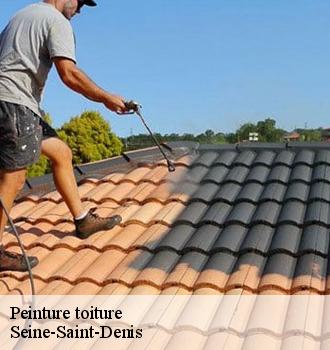 Peinture toiture