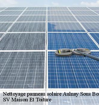 Nettoyage panneau solaire