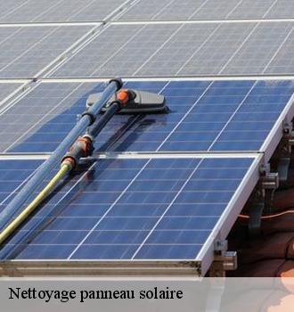 Nettoyage panneau solaire