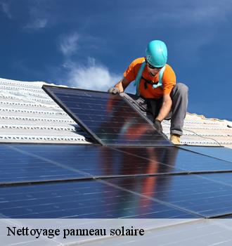 Nettoyage panneau solaire