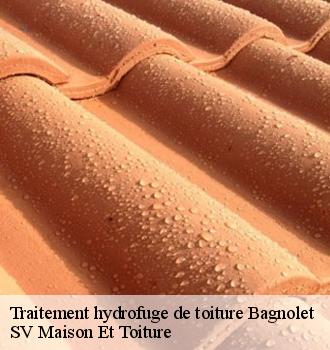 Traitement hydrofuge de toiture