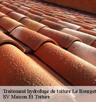 Traitement hydrofuge de toiture