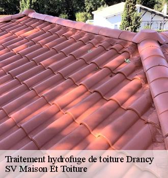Traitement hydrofuge de toiture