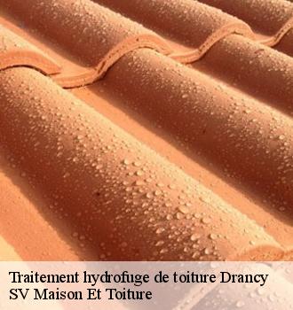 Traitement hydrofuge de toiture