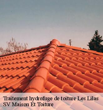 Traitement hydrofuge de toiture