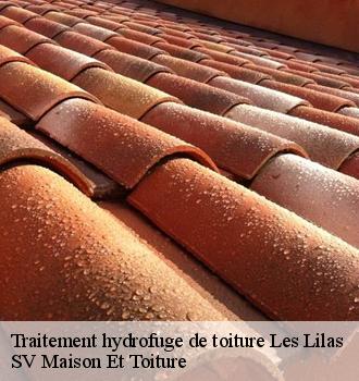 Traitement hydrofuge de toiture