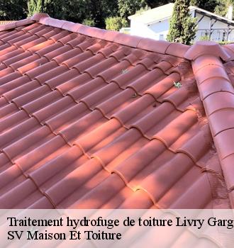 Traitement hydrofuge de toiture