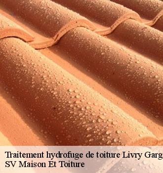 Traitement hydrofuge de toiture