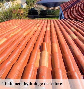 Traitement hydrofuge de toiture