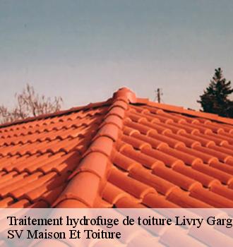 Traitement hydrofuge de toiture