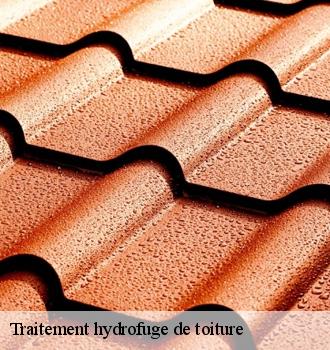 Traitement hydrofuge de toiture