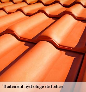 Traitement hydrofuge de toiture