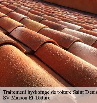 Traitement hydrofuge de toiture