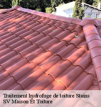 Traitement hydrofuge de toiture