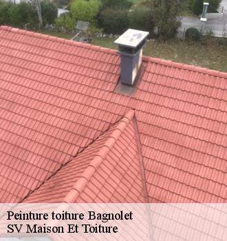 Peinture toiture