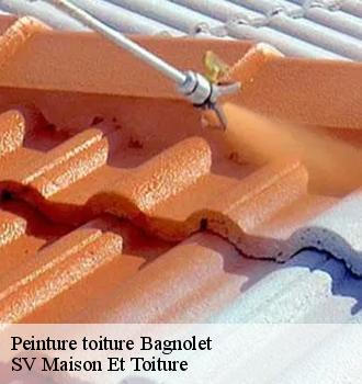 Peinture toiture