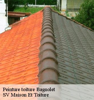 Peinture toiture