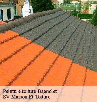 Peinture toiture