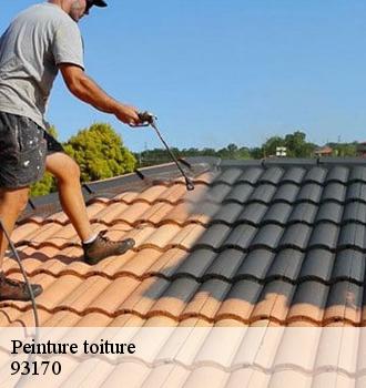 Peinture toiture