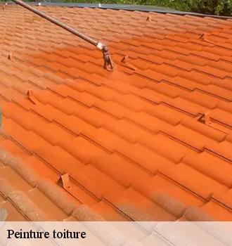 Peinture toiture