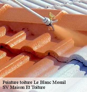 Peinture toiture