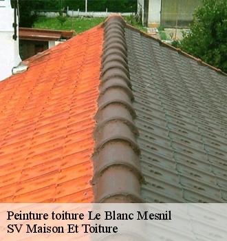 Peinture toiture