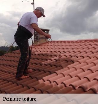 Peinture toiture