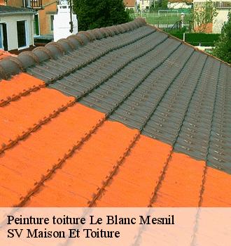 Peinture toiture