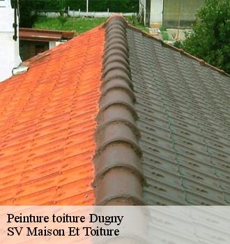 Peinture toiture