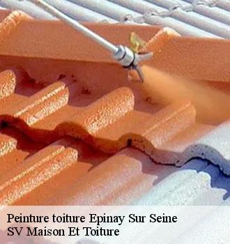Peinture toiture