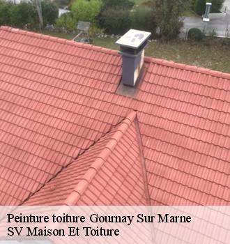 Peinture toiture