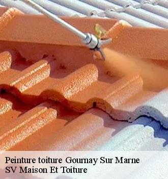 Peinture toiture