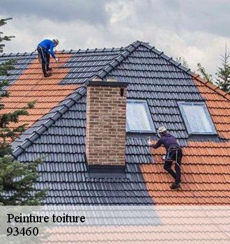 Peinture toiture