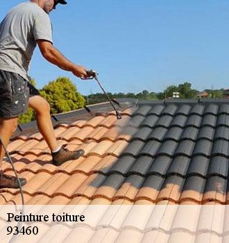 Peinture toiture