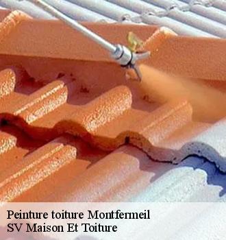 Peinture toiture