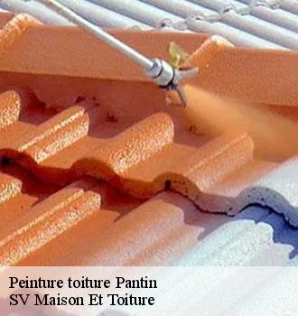 Peinture toiture