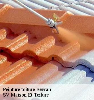 Peinture toiture