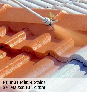 Peinture toiture