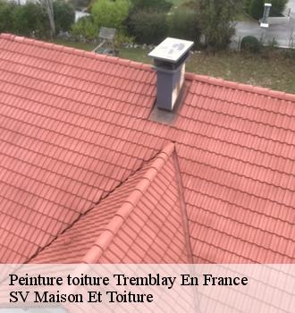 Peinture toiture