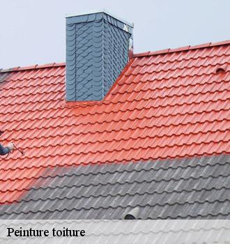 Peinture toiture