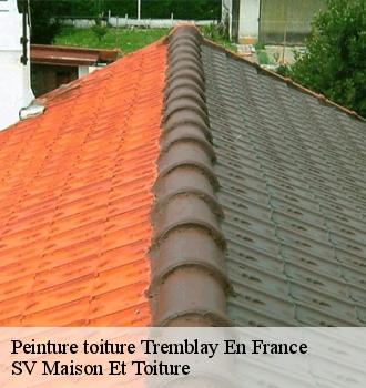 Peinture toiture