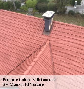 Peinture toiture