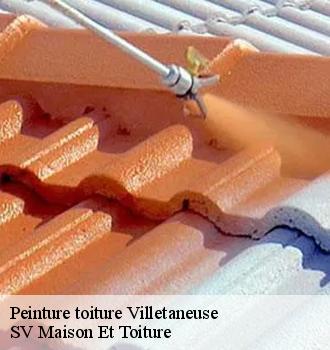 Peinture toiture