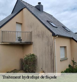 Traitement hydrofuge de façade